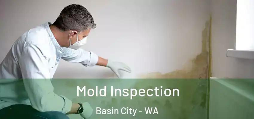  Mold Inspection Basin City - WA