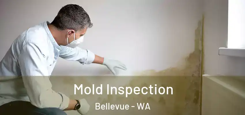  Mold Inspection Bellevue - WA