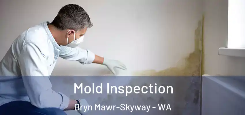 Mold Inspection Bryn Mawr-Skyway - WA