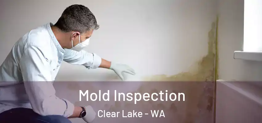  Mold Inspection Clear Lake - WA