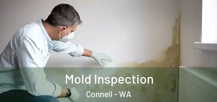  Mold Inspection Connell - WA