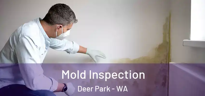  Mold Inspection Deer Park - WA