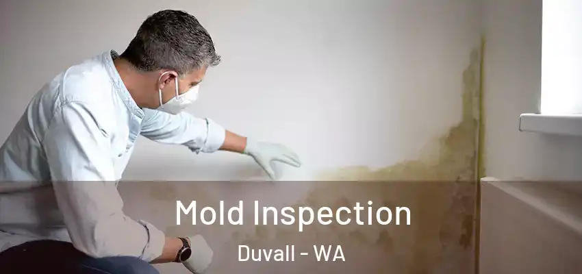  Mold Inspection Duvall - WA