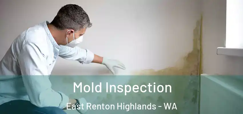  Mold Inspection East Renton Highlands - WA