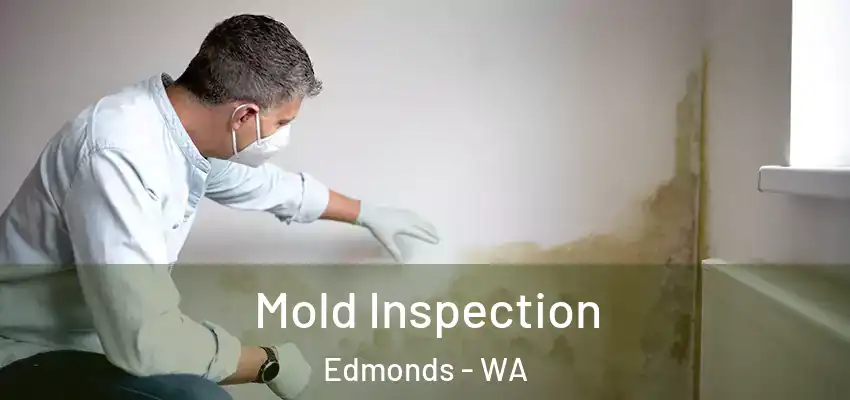  Mold Inspection Edmonds - WA