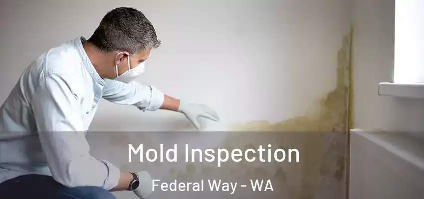  Mold Inspection Federal Way - WA