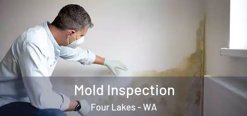  Mold Inspection Four Lakes - WA