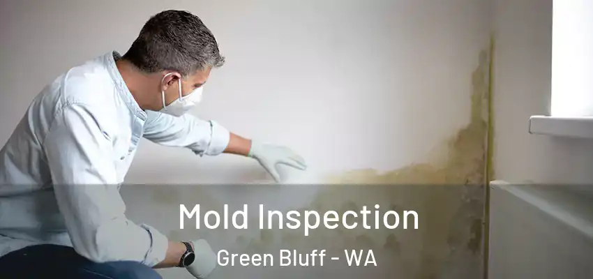  Mold Inspection Green Bluff - WA