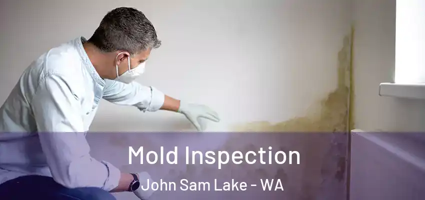  Mold Inspection John Sam Lake - WA