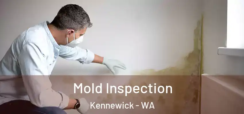  Mold Inspection Kennewick - WA