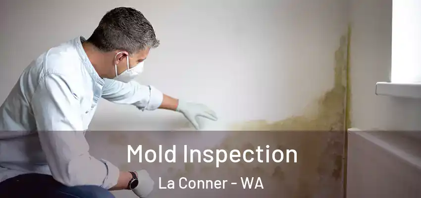  Mold Inspection La Conner - WA