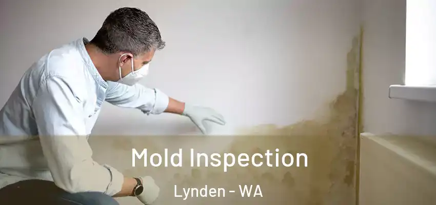  Mold Inspection Lynden - WA