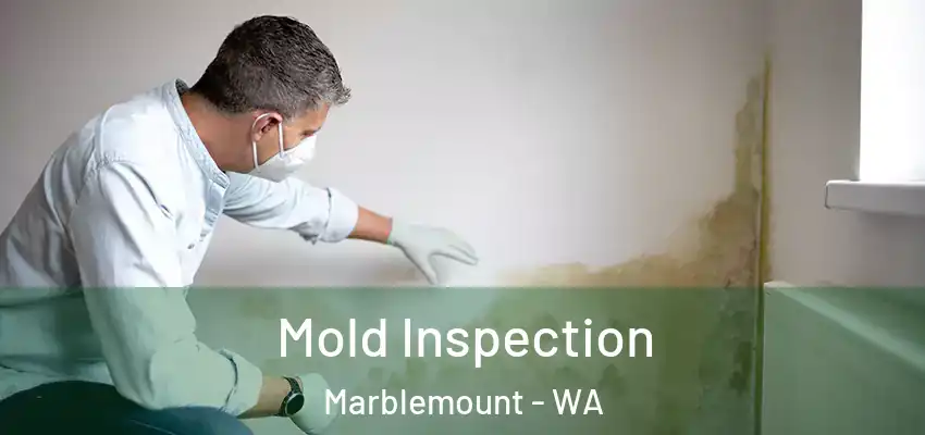  Mold Inspection Marblemount - WA