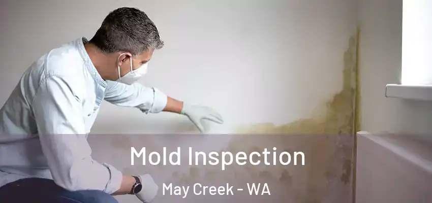  Mold Inspection May Creek - WA
