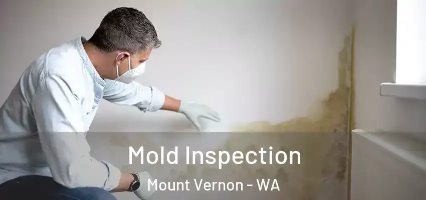  Mold Inspection Mount Vernon - WA
