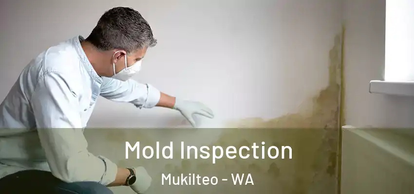 Mold Inspection Mukilteo - WA