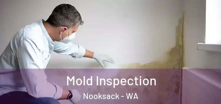  Mold Inspection Nooksack - WA