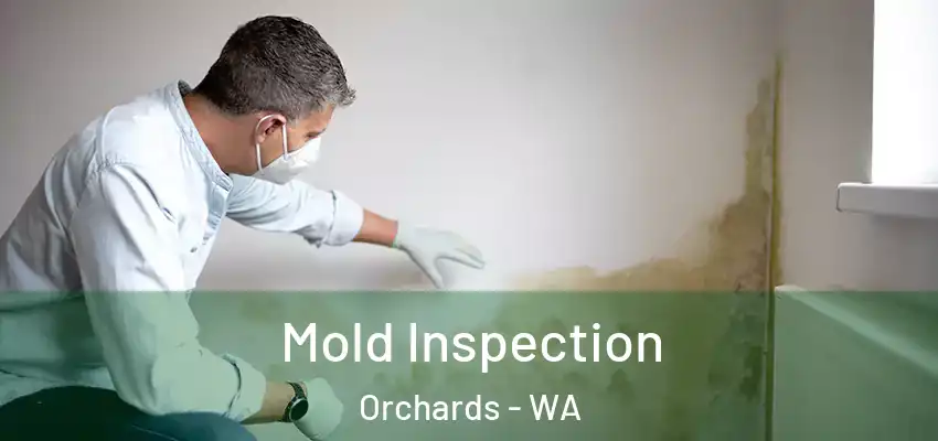  Mold Inspection Orchards - WA
