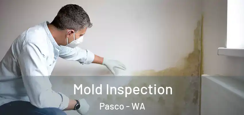  Mold Inspection Pasco - WA