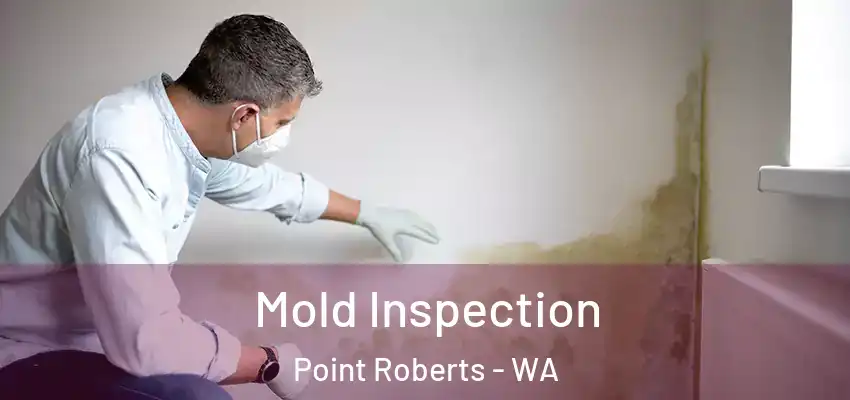  Mold Inspection Point Roberts - WA