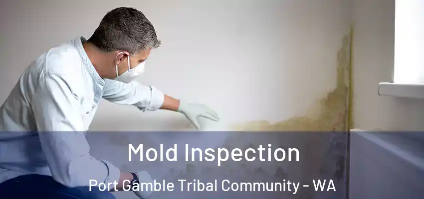  Mold Inspection Port Gamble Tribal Community - WA