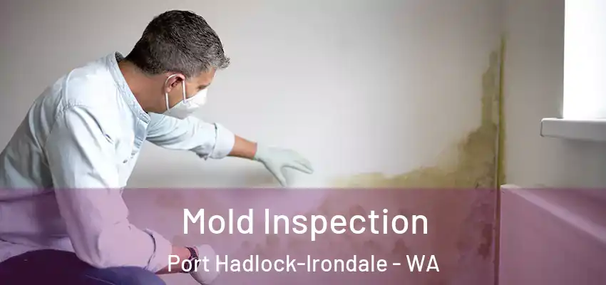  Mold Inspection Port Hadlock-Irondale - WA
