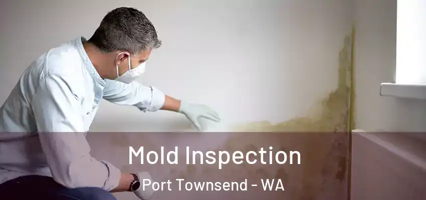  Mold Inspection Port Townsend - WA