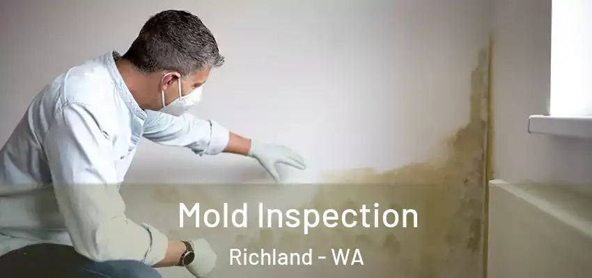  Mold Inspection Richland - WA