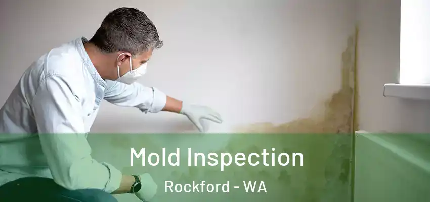  Mold Inspection Rockford - WA
