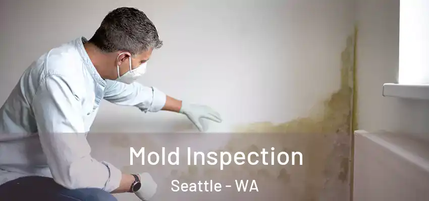 Mold Inspection Seattle - WA