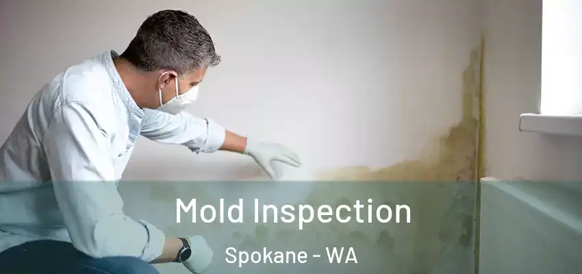  Mold Inspection Spokane - WA