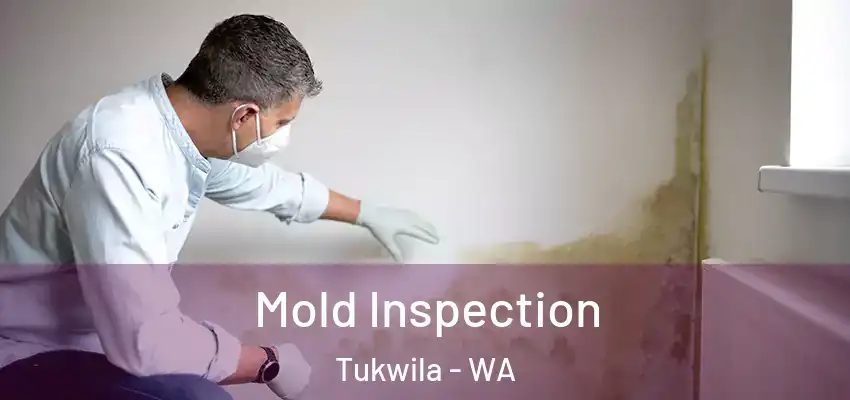  Mold Inspection Tukwila - WA