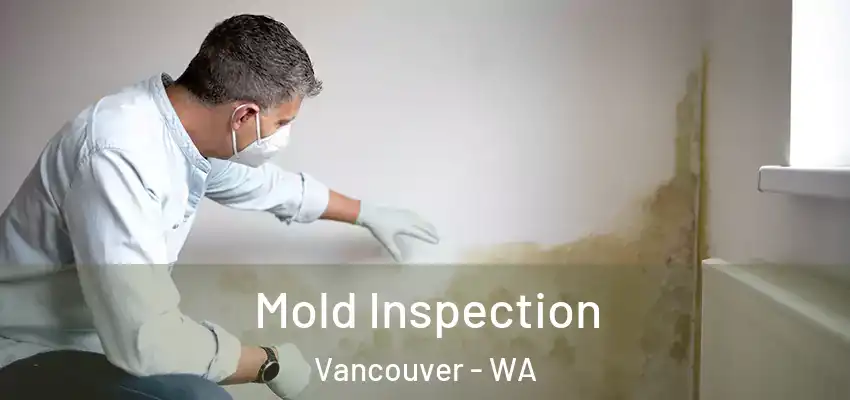  Mold Inspection Vancouver - WA