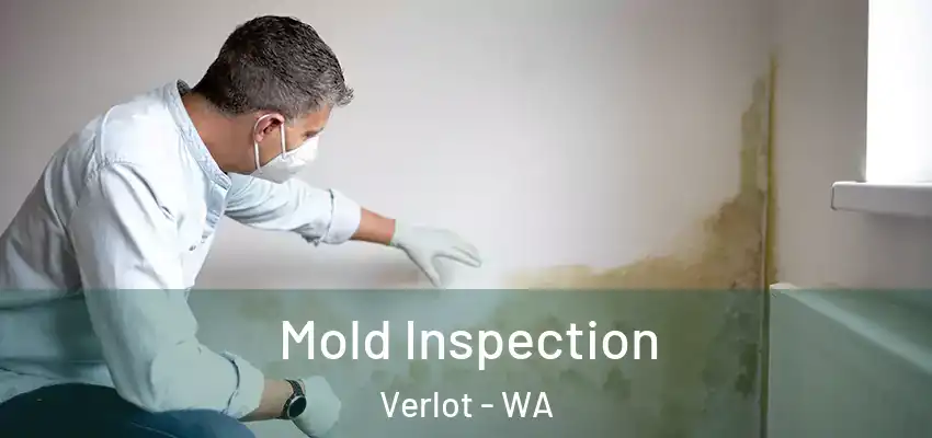 Mold Inspection Verlot - WA