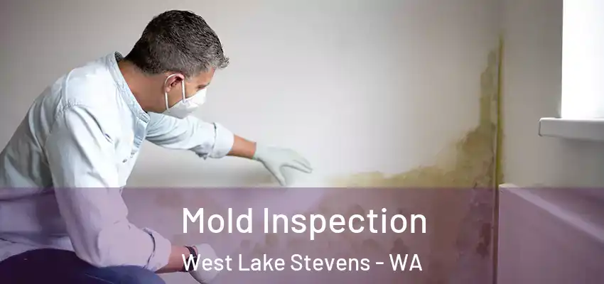 Mold Inspection West Lake Stevens - WA