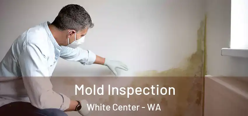  Mold Inspection White Center - WA