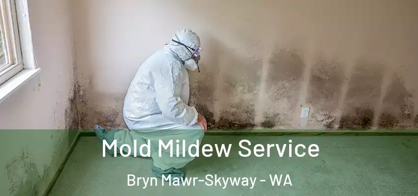  Mold Mildew Service Bryn Mawr-Skyway - WA