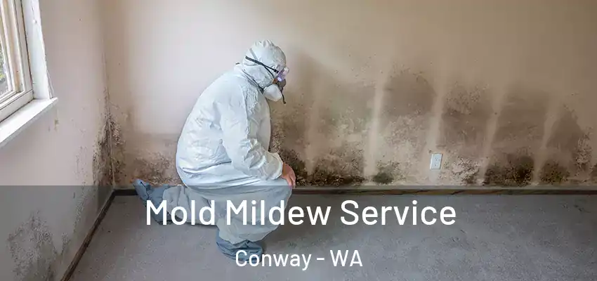  Mold Mildew Service Conway - WA