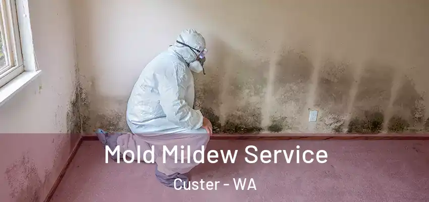  Mold Mildew Service Custer - WA