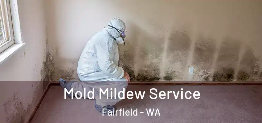 Mold Mildew Service Fairfield - WA