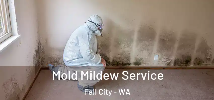  Mold Mildew Service Fall City - WA