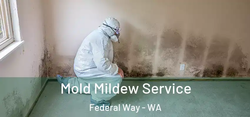  Mold Mildew Service Federal Way - WA