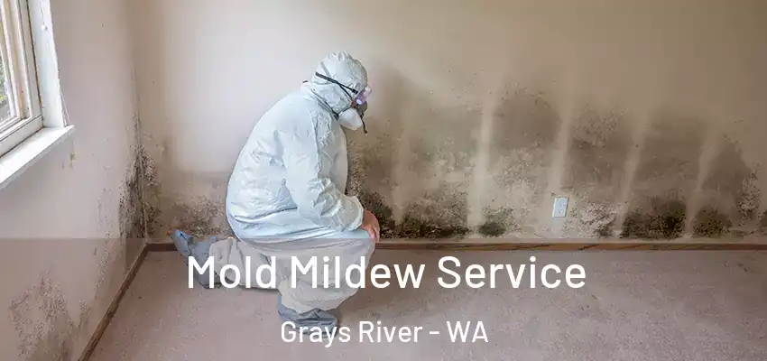  Mold Mildew Service Grays River - WA