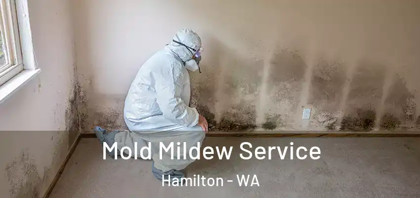  Mold Mildew Service Hamilton - WA