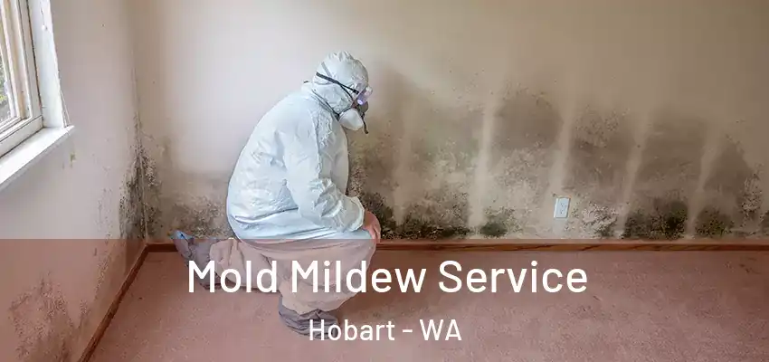  Mold Mildew Service Hobart - WA