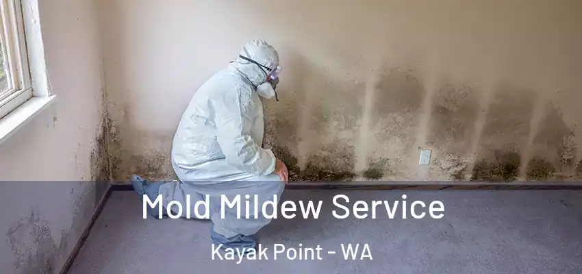  Mold Mildew Service Kayak Point - WA