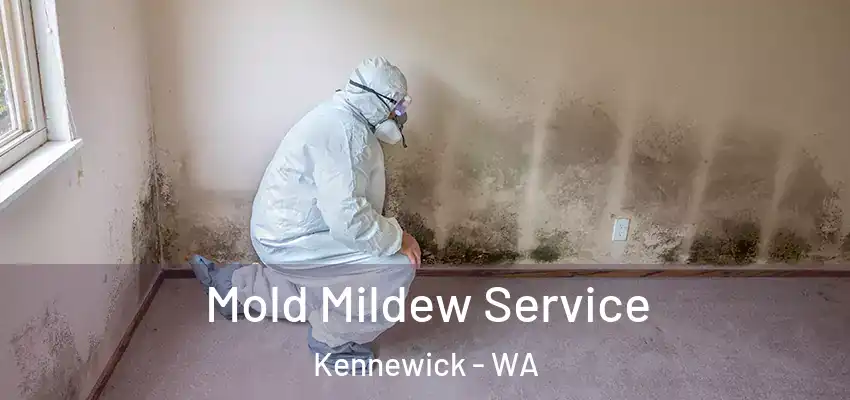  Mold Mildew Service Kennewick - WA