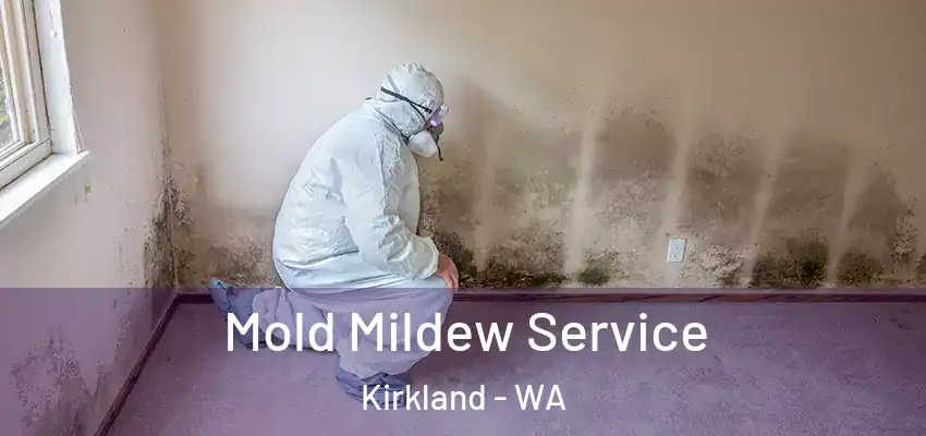  Mold Mildew Service Kirkland - WA