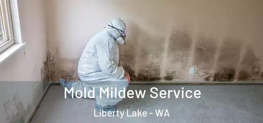 Mold Mildew Service Liberty Lake - WA