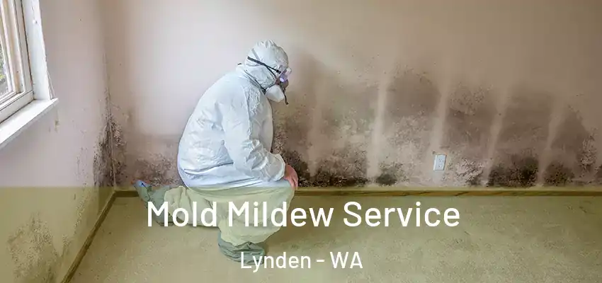  Mold Mildew Service Lynden - WA